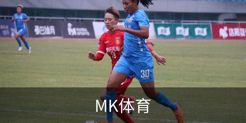 MK体育概况